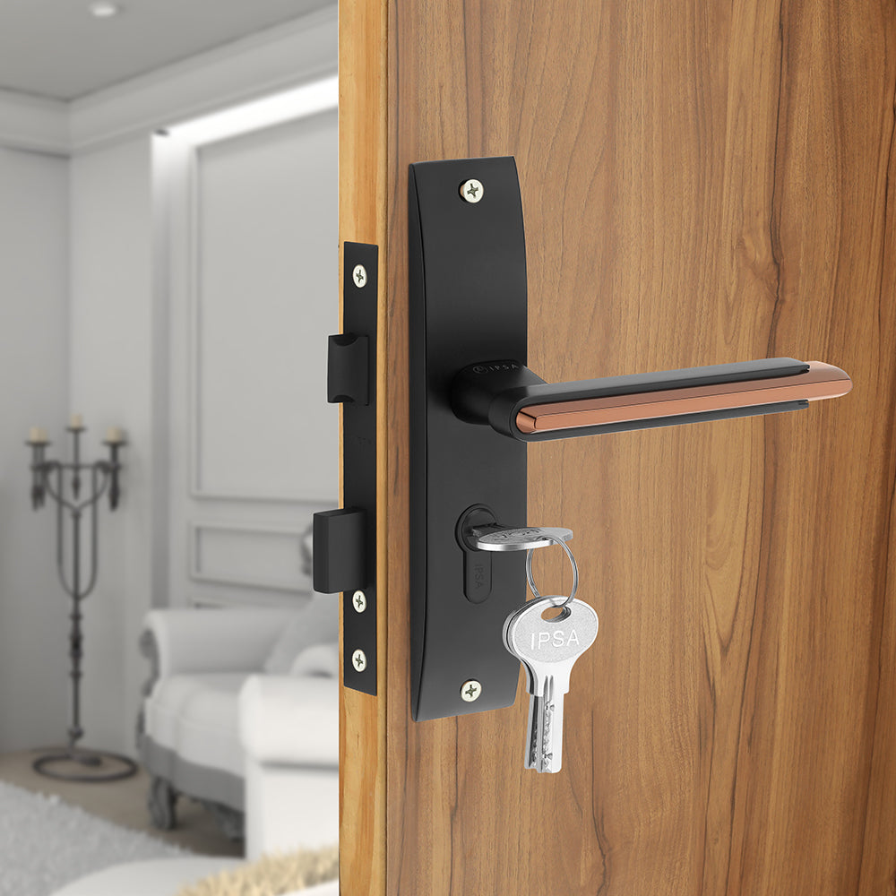 IPSA Lead Iris Handle Series on 8" Plate CYS Lockset with 60mm Both Side Key - Matte Finish BRG